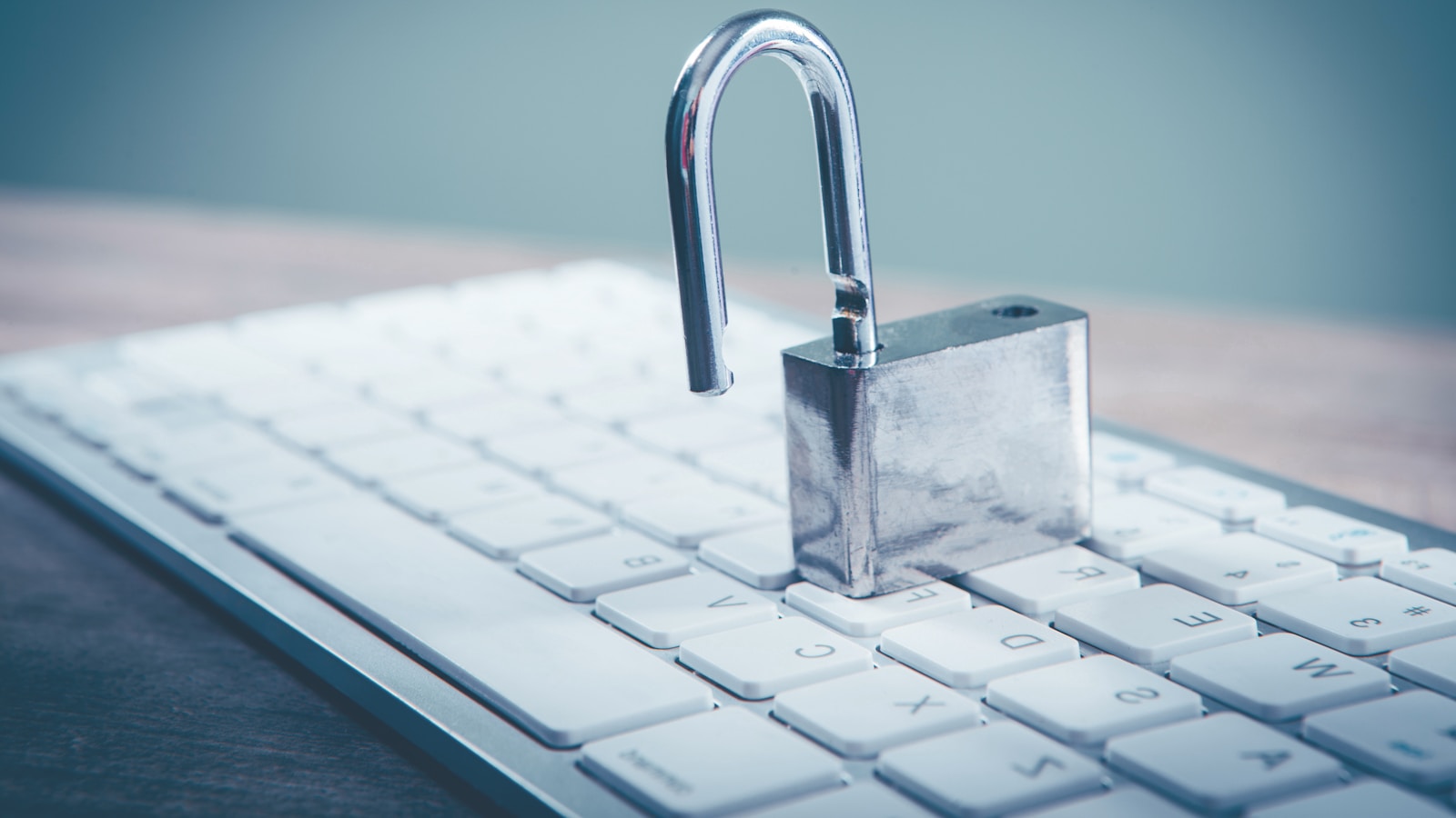 Wordfence Bug Bounty Program Monthly Report: April 2026 Analysis